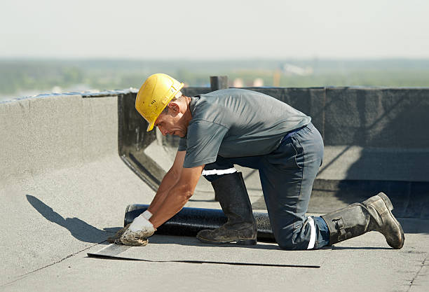 Best Specialized Insulation Services in Gunbarrel, CO